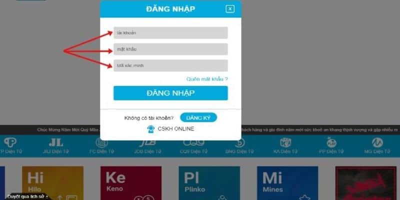 Người chơi nhập dữ liệu đầy đủ và chính xác để truy cập tài khoản cá nhân